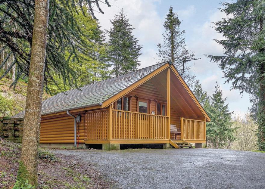 1699 log cabins that are pet friendly in the uk
