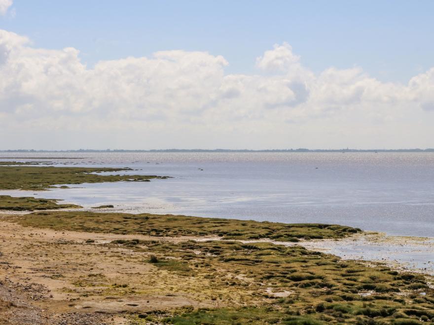 Shorefields Two