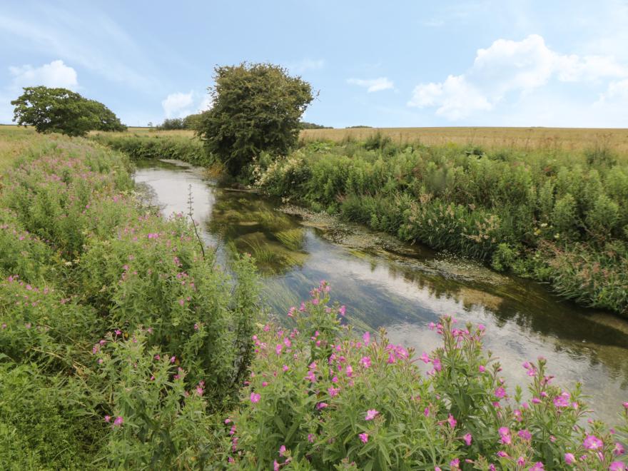 Kingfisher Corner