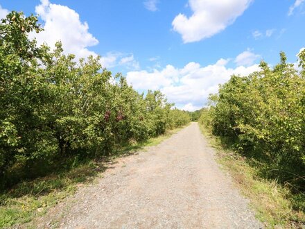 The Apple Shed