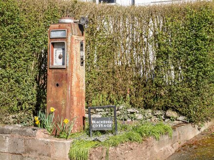 Blackbird Cottage