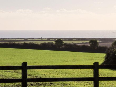 Green Fields