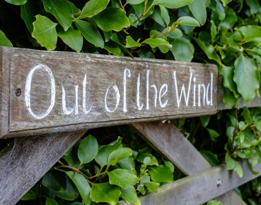 Out of the Wind