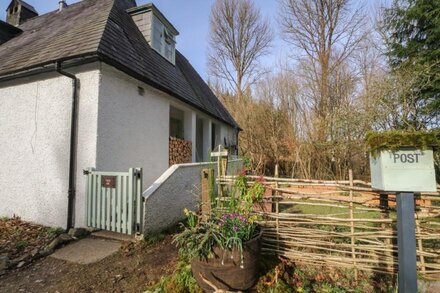 The Cottage In The Woods