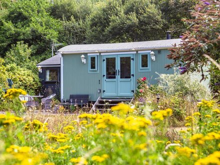 The Shepherd's Hut