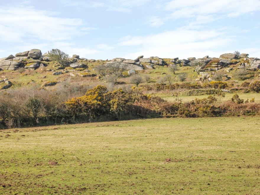 Kestrel Corner