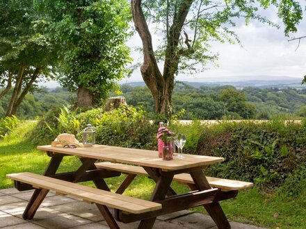 Dartmoor View