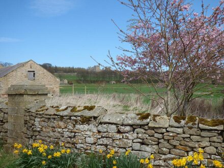 Barn Cottage