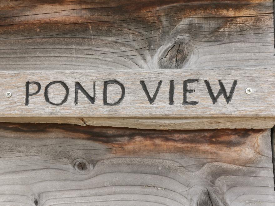 Pond View