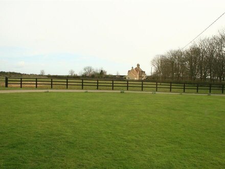 Saddlebacks Barn