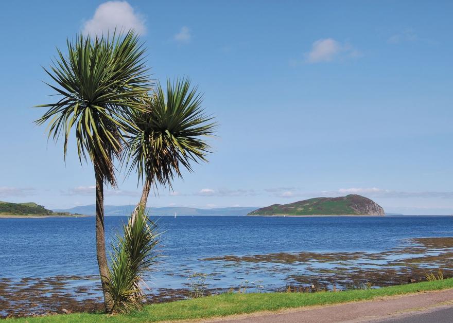 Langa Cottage - S4610