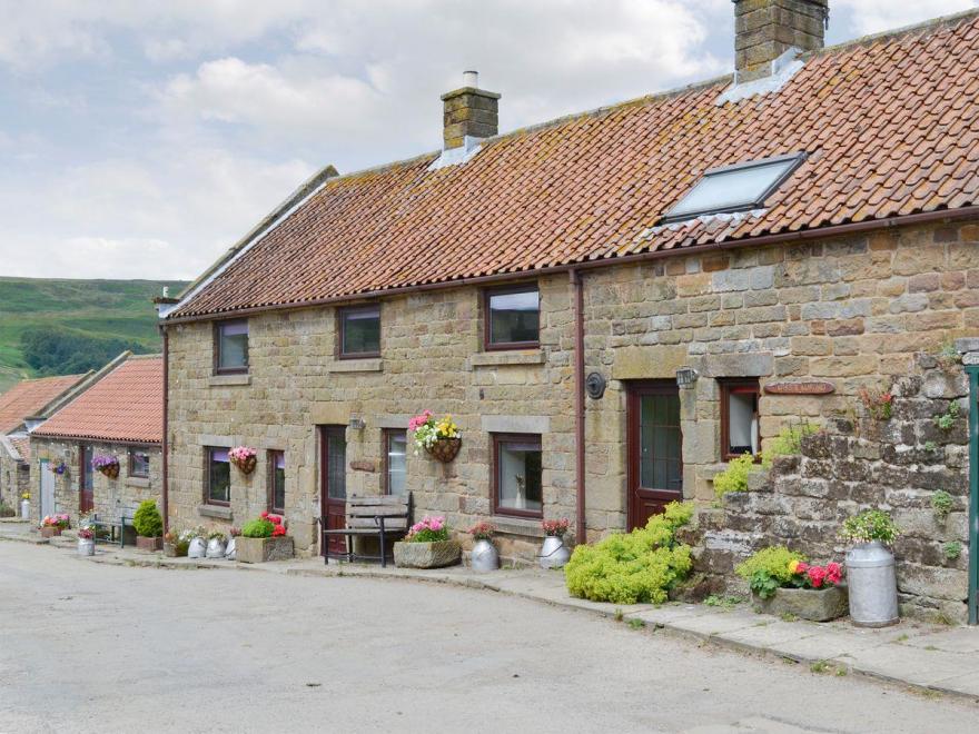 Master Mustard - 18427