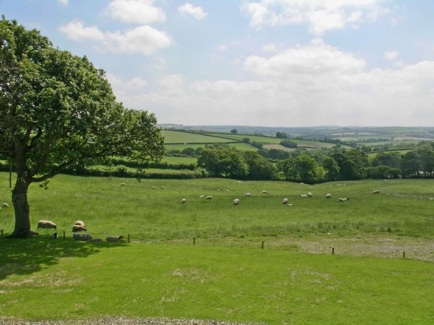 Lower Shippen - 23493