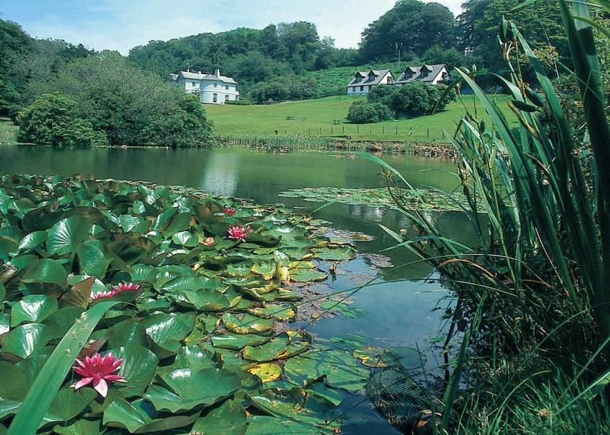 Rosecraddoc Manor - Natalie Jane