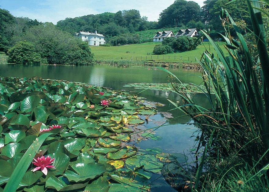 Rosecraddoc Manor - Natalie Jane