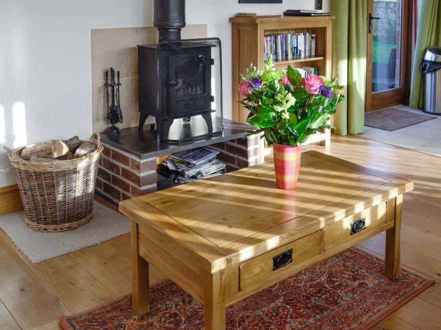 Little Hendre Lodge - UK10262