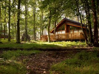 Sherwood Forest Cabins