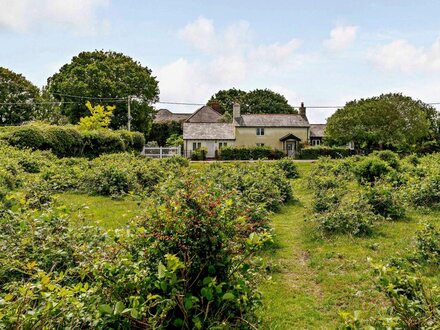 Cottage in Sway, Hampshire