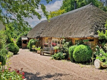 Cottage in Watchet, Somerset