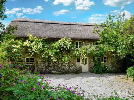 Barn in Barnstaple, North Devon