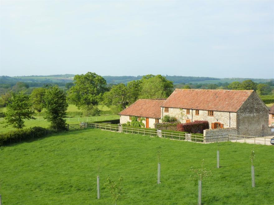 Cottage In Dorset