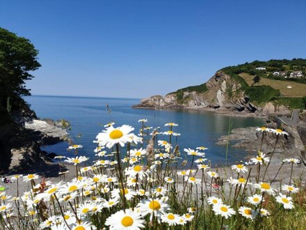 Cottage in Combe Martin, North Devon