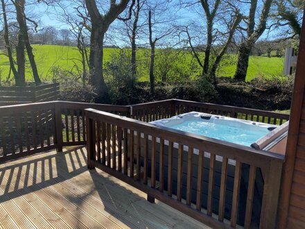 Log Cabin in Dartmoor National Park, Mid and East Devon