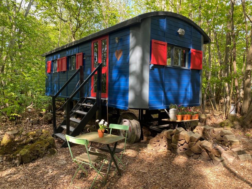 Log Cabin In Sussex