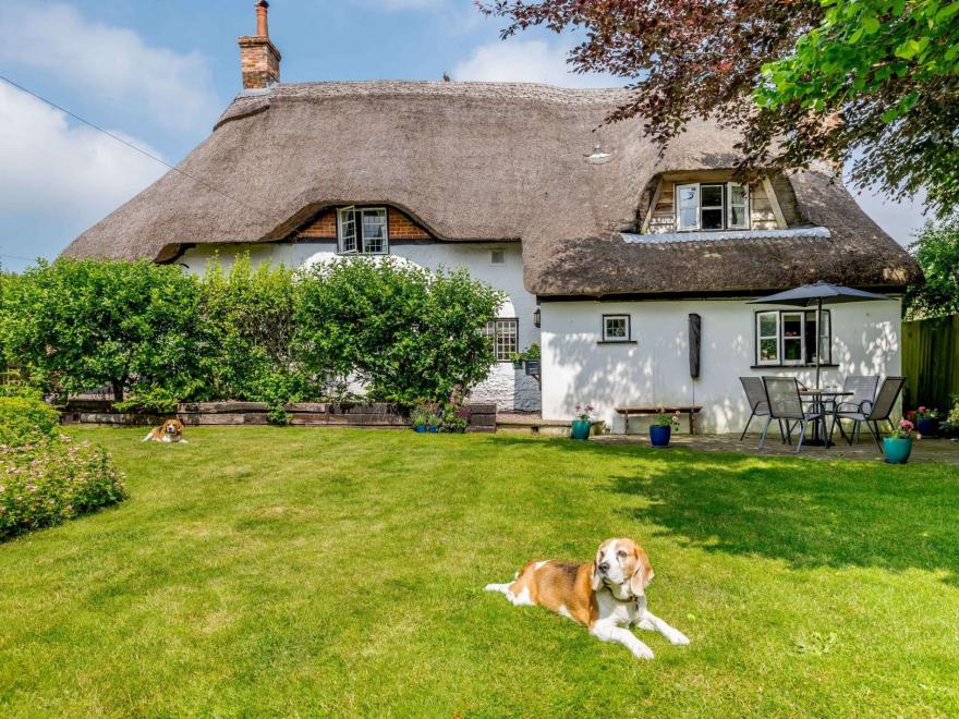 Cottage In Dorset