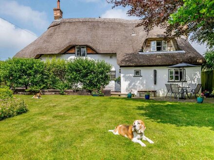 Cottage in Blandford Forum, Dorset