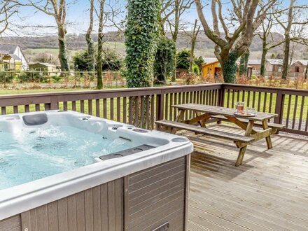 Log Cabin in Dartmoor National Park, Mid and East Devon