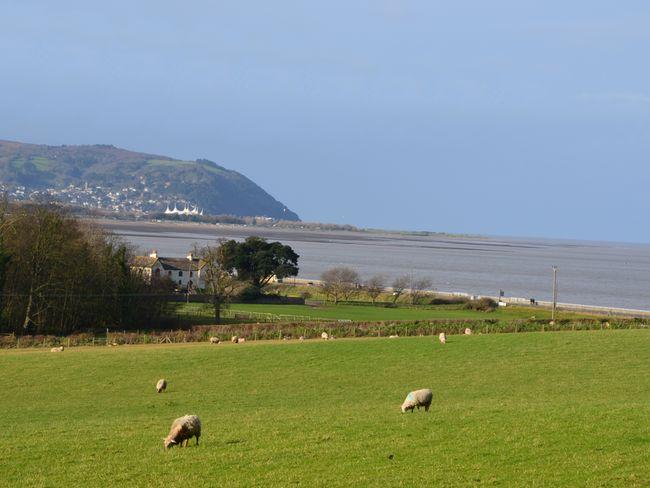 Bungalow in Blue Anchor, Somerset