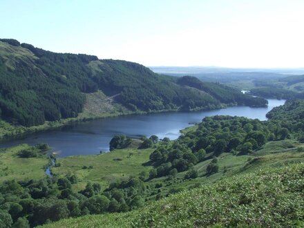 Cottage in Newton Stewart, Dumfries and Galloway