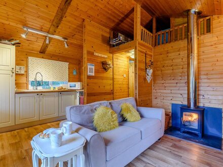 Log Cabin in Machynlleth, Mid Wales