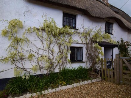 Cottage in Salcombe, South Devon