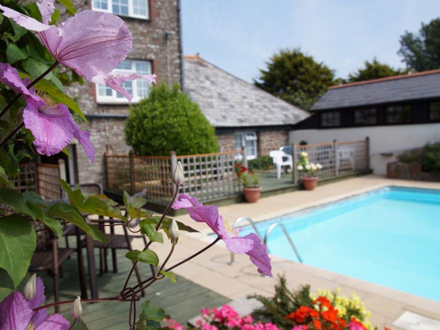 Cottage In North Devon