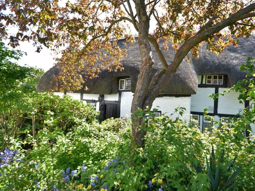 Cottage In Warwickshire