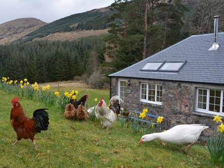 Cottage in Fort Willam, The Highlands