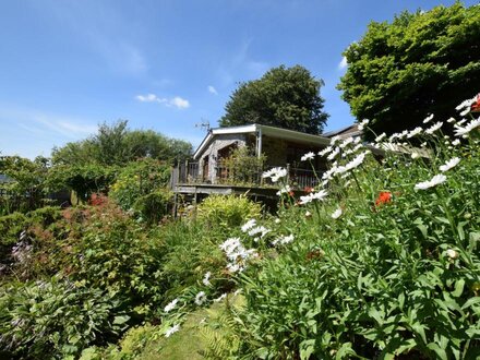 Wing in Tregaron, Mid Wales