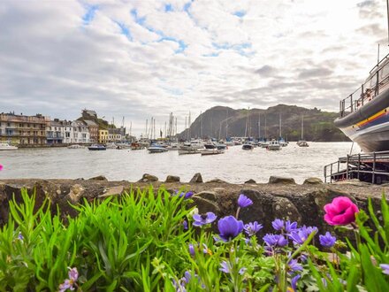 Cottage in Ilfracombe, North Devon