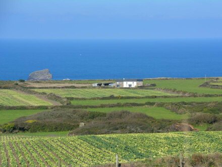 Cottage in St Agnes, West Cornwall