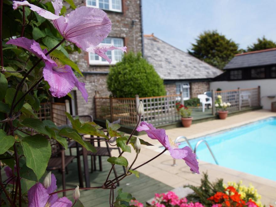 Cottage In North Devon