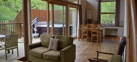 Wheelchair-adapted Silver Birch