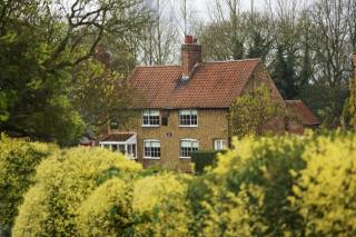 White Horse Cottage