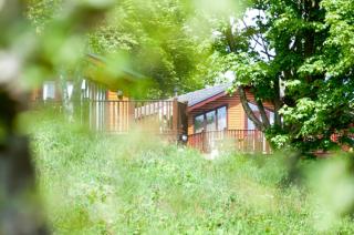 Cabins & Safari Tents at Sandy Glade Holiday Park