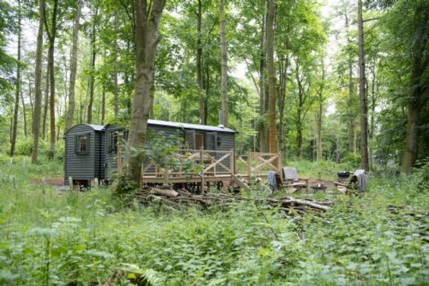 Cedar Retreat