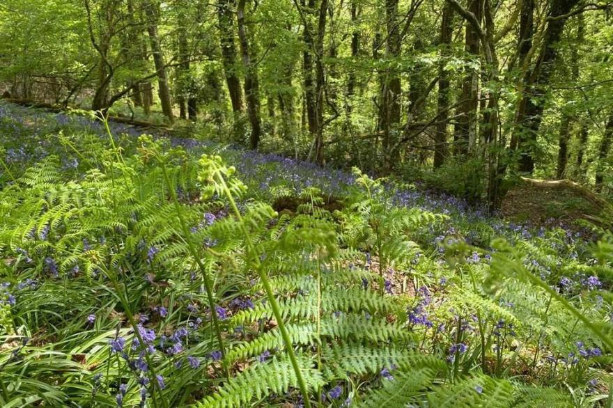 Paradise position on Exmoor National Park