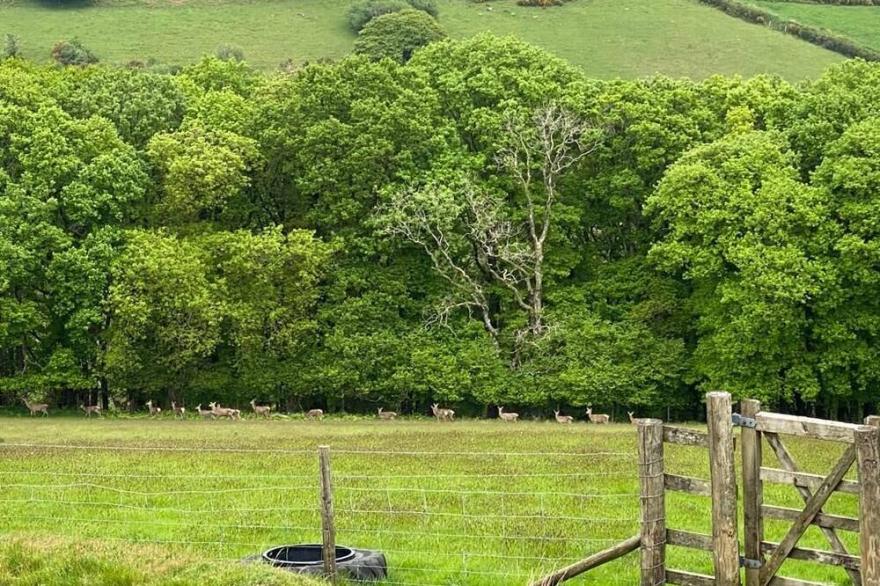 Paradise position on Exmoor National Park