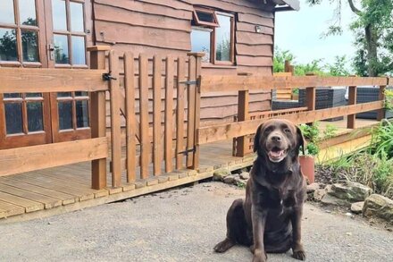 Mountain View Lodge with Hot Tub