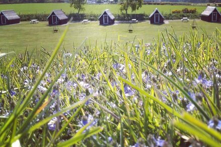 Camping Without the Toil and Trouble!  Luxury En Suite Glamping Pods, Sleep 4.